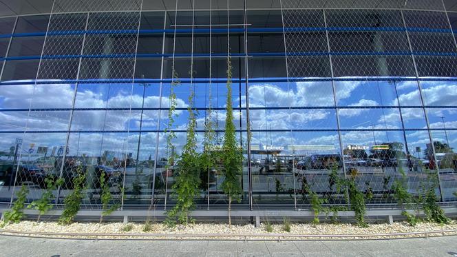 Zazieleniony teren parkingu i pasażu przed terminalami Katowice Airport