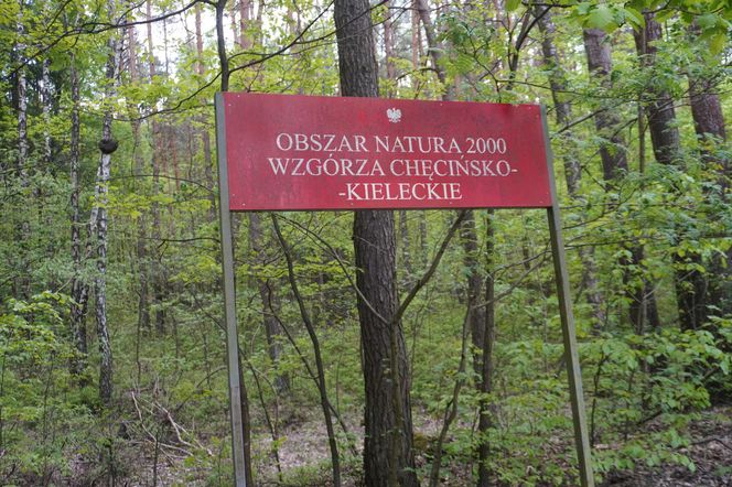 W majówkę ruszyłem rowerem ulicami Kielc! 