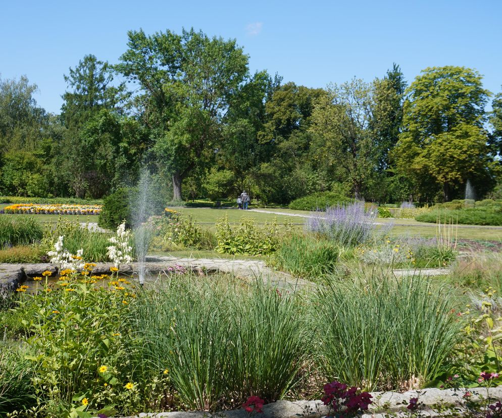 Ogród Botaniczny w Poznaniu 