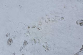 Złodziej jak z gangu Olsena! Zapomniał zatrzeć ślady zostawione na śniegu