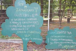 Dzień Otwartego Ula. Centrum Edukacji Ekologicznej w Grudziądzu organizuje festyn