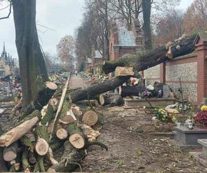 Zniszczone nagrobki na cmentarzu przy Bazylice Piekarskiej. Co tam się stało? 