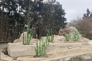 Instalacja artystyczna na dawnym wybiegu niedźwiedzi