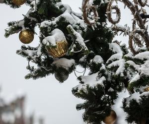 Śnieg i mróz na Boże Narodzenie 2022! Synoptycy mówią o białych świętach [PROGNOZA]