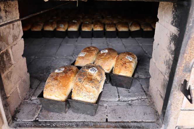 Wyjątkowy Festiwal Chleba w Kujawsko-Pomorskiem. W Janiej Górze wam sie upiecze!