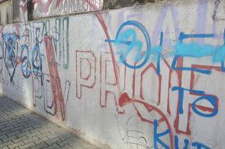 Czyszczenie Mysłowic z nielegalnego graffiti i wulgarnych napisów 