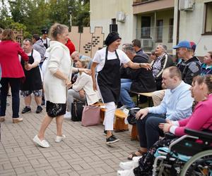 Dzień Cukinii. Integracyjne Święto Warzywa w Siedlcach