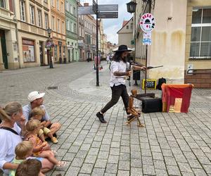 Busker Tour2023 zawitał do Zielonej Góry. Mamy zdjęcia z tego wydarzenia. Oto jak wyglądał pierwszy dzień 