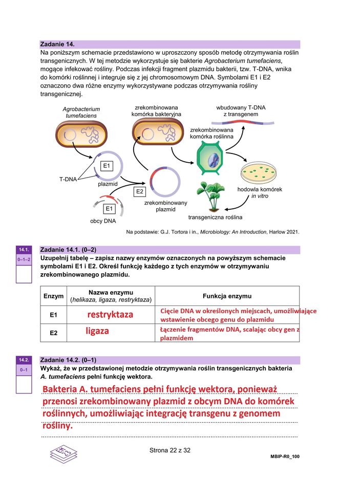 Matura 2025: biologia 9.05.2025. Arkusze CKE i odpowiedzi [Formuła 2023]