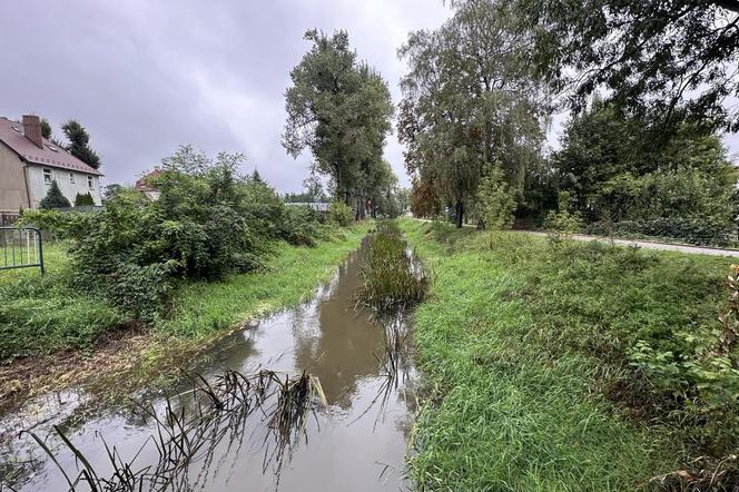 Odolanów. Ewakuacja mieszkańców nie będzie potrzebna!