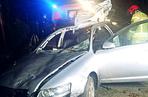 Groźny wypadek w Szymankach. Auto roztrzaskało się po zderzeniu z łosiem [ZDJĘCIA]