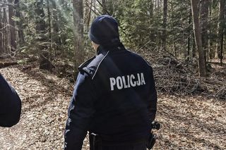 Psy uwiązane stalowymi linkami w lesie. Jeden nie przeżył