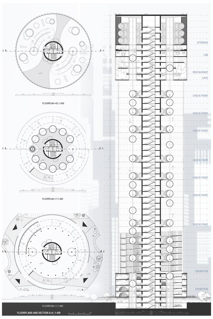 Koncepcja wieżowca Muscatein studentek Wydziału Architektury Politechniki Śląskiej