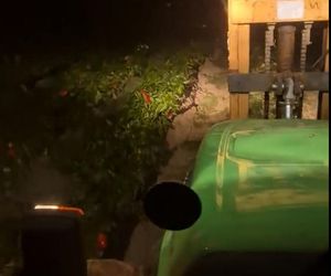 Rolnik rozdają paprykę za darmo! Ceny na skupie to dramat