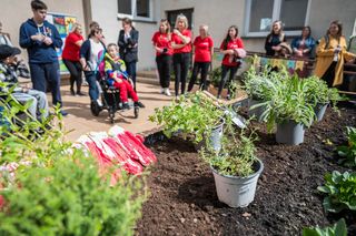 W Lublinie powstał ogród społeczny. „Zielony zakątek” to pierwsze takie miejsce w mieście