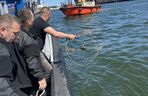 Jelonek wpadł do wody w Porcie Gdańsk. Uratowała go załoga Pioruna 
