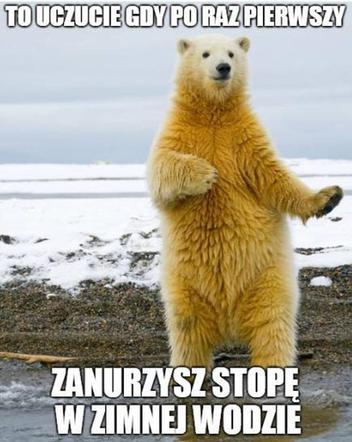 Morsowanie: MEMY 2021. Zobacz najlepsze obrazki i memy o morsowaniu! [ZDJĘCIA]