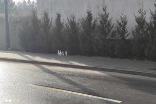 W miejscu tragedii w Wawrowie palą się znicze