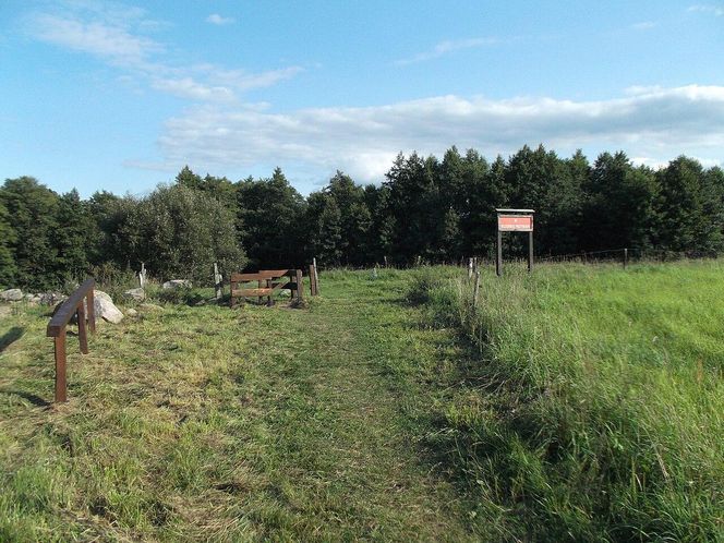Głazowisko Bachanowo w woj. podlaskim