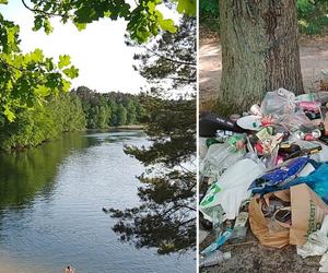 To nie kadr z filmu, a fragment Bydgoszczy. Ludzie zrobili z niego wysypisko! Zgłosiliśmy sprawę