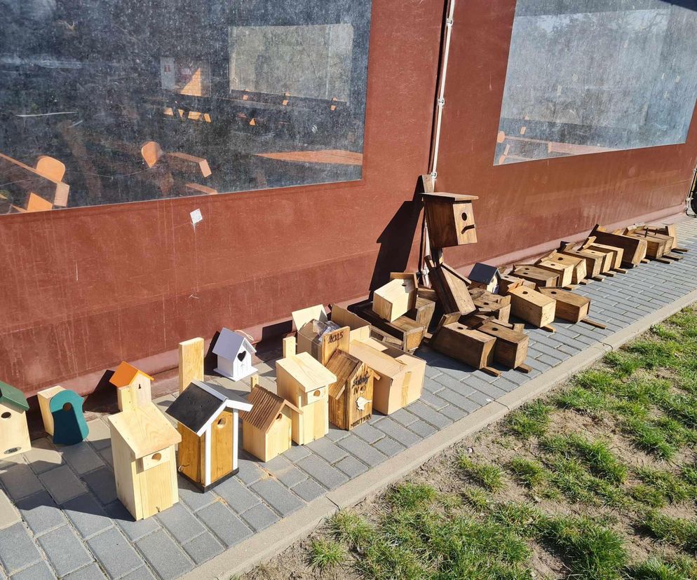Budki lęgowe dla ptaków
