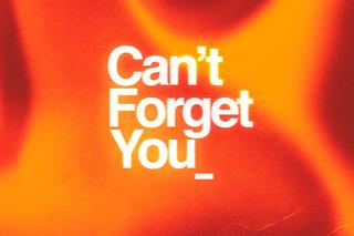 James Carter x Ofenbach ft James Blunt - Can't Forget You