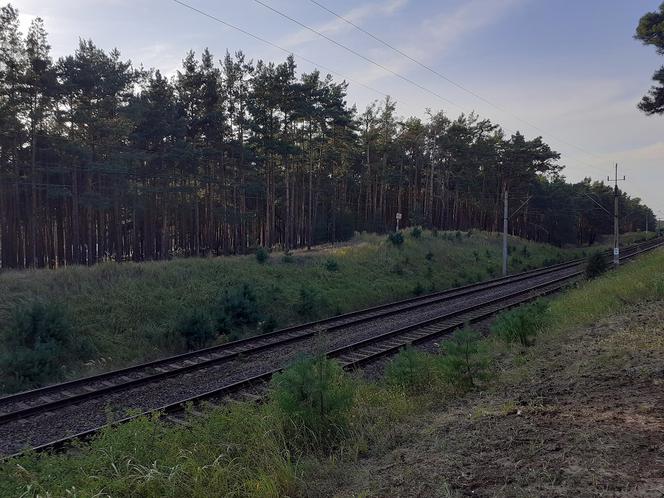 Brzoza Toruńska 40 lat po katastrofie kolejowej