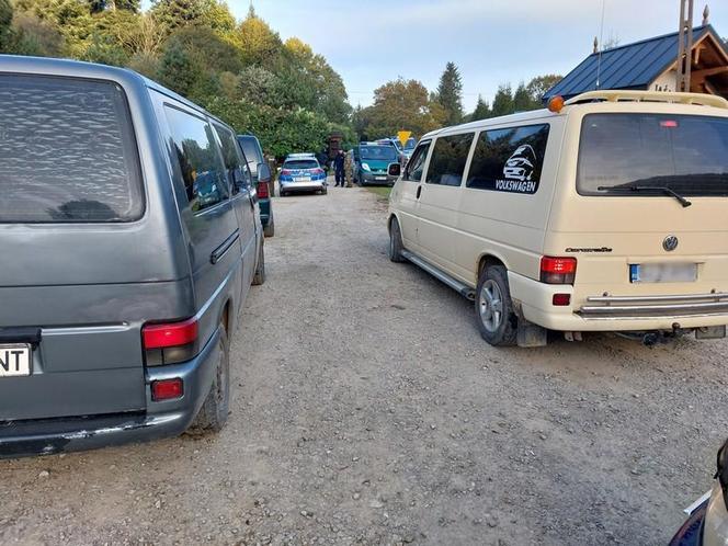 Najazd rumuńskich grzybiarzy na Podkarpaciu