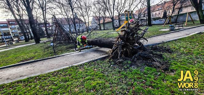 Wichura na Dolnym Śląsku. Uszkodzone dachy, powalone drzewa. Ponad 300 interwencji straży