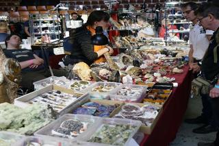 Dragon EXPO i GEO EXPO w Katowicach