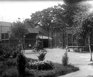 Zoo w Zamościu na starych zdjęciach