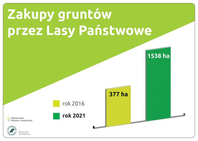 Będą nowe lasy – kupujemy tereny pod zalesianie 3