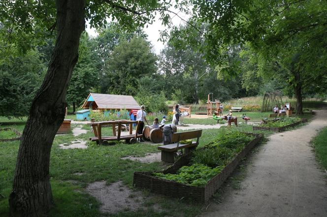 Naturalny plac zabaw przy Dolinie Służewieckiej. Chcieli go spalić, teraz go uwielbiają? 