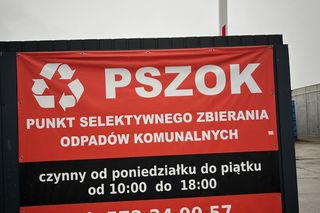 Drugie życie świątecznych drzewek. Lublin ma propozycje dla mieszkańców