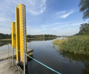 Rzeka Odra w okolicy Lasu Odrzańskiego