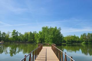Kraków - Park Tetmajera w Bronowicach 
