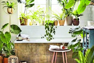 Dom w stylu biophilic – łazienkowa oranżeria 