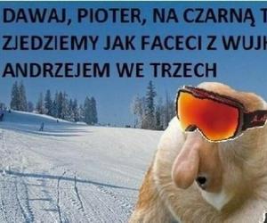 Najlepsze MEMY o narciarzach. Śmieszą do łez!