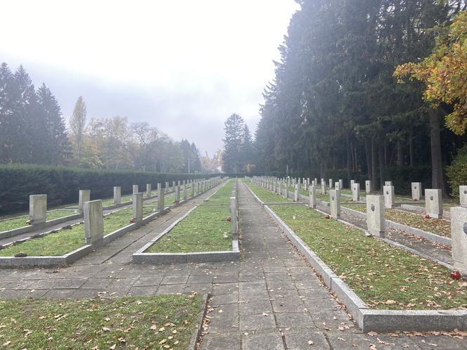 Cmentarz Centralny Wszystkich Świętych 2022