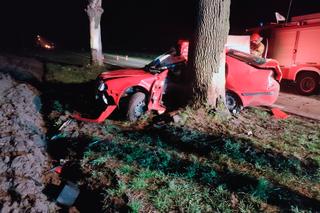 Śmiertelny wypadek w Orszewicach pod Łęczycą. 20-latek zginął na miejscu 