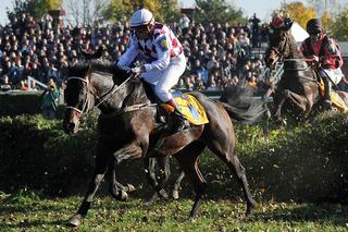 Polski koń Tiumen wygrał Wielką Pardubicką - ZDJĘCIA+WIDEO