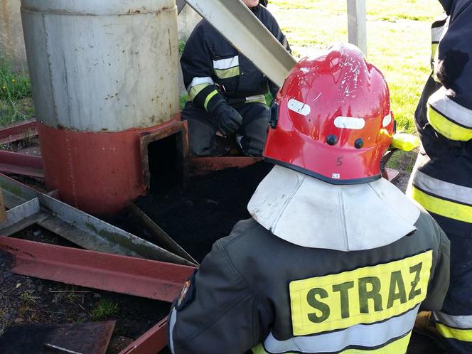 Strażacy z Wielkopolski ratowali bociana, któremu z komina wystawały tylko... nogi