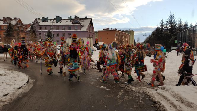 Niesopusty w Węgierskiej Górce3