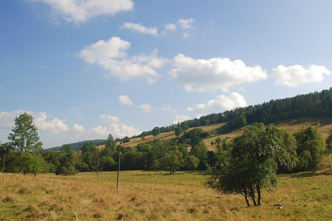 Oto najmniejsza wieś w Małopolsce. Mieszkają w niej dwie osoby! 