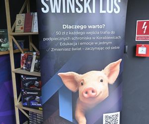 Reporterzy Super Expressu zamienili się w świnie. To pierwsze takie miejsce w Polsce. Nietypowy escape room w Warszawie