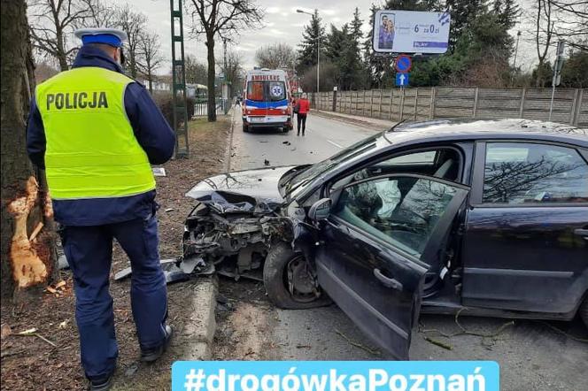 Główne grzechy kierujących w Poznaniu. Gaz do dechy i do przodu