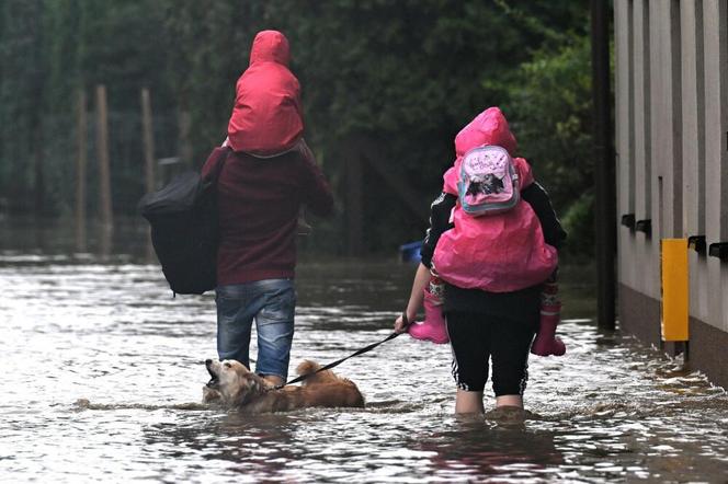 Burmistrz Głuchołaz prosi o pomoc! " Przyda się każdy dar