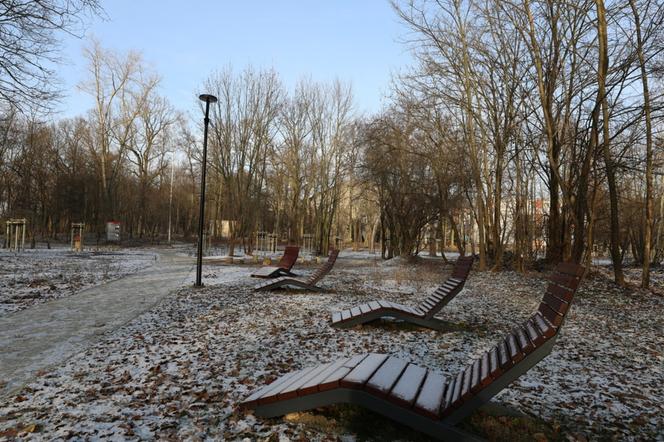 Park przy Szpitalu Dziekanka zrewitalizowany