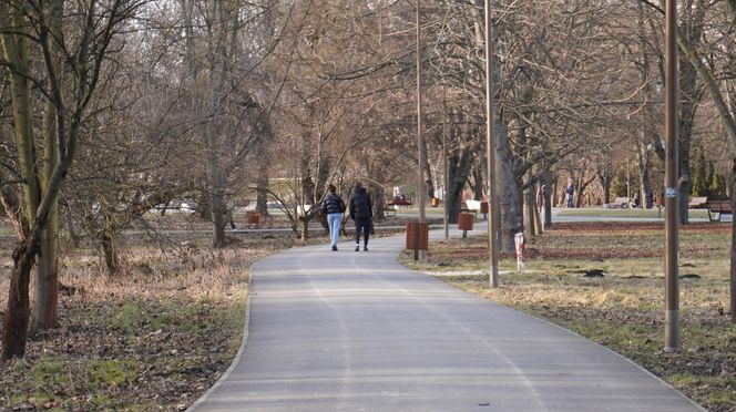 Mieszkańcy Lublina poczuli wiosnę. Na termometrach było ponad 20 stopni! Wiosenna odsłona Parku Ludowego w obiektywie