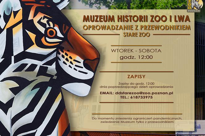 Muzeum Zoo i Lwa już działa​. Kiedy można je zwiedzać?